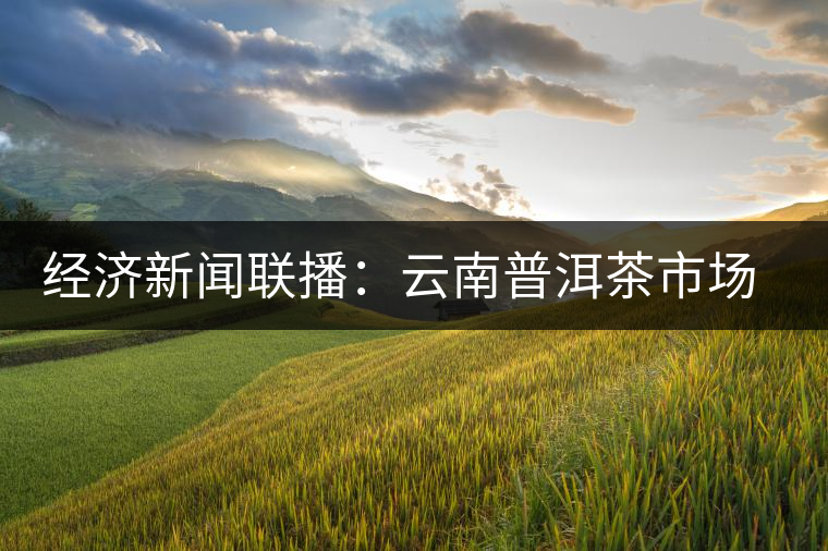 經(jīng)濟(jì)新聞聯(lián)播:云南普洱茶市場調(diào)查 經(jīng)濟(jì)新聞聯(lián)播:云南普洱茶市場調(diào)查