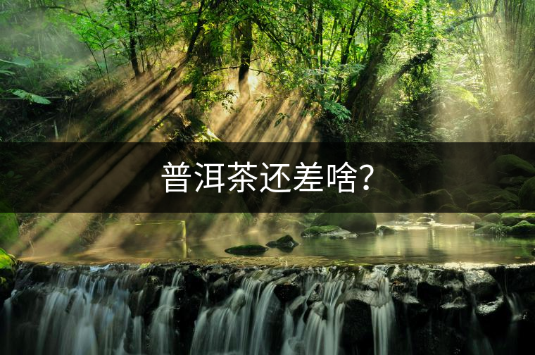 普洱茶還差啥？