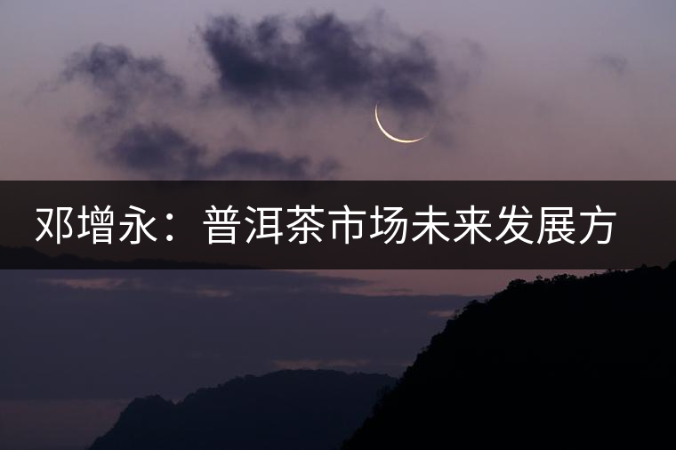 鄧增永:普洱茶市場(chǎng)未來(lái)發(fā)展方向展望 鄧增永:普洱茶市場(chǎng)未來(lái)發(fā)展方向展望