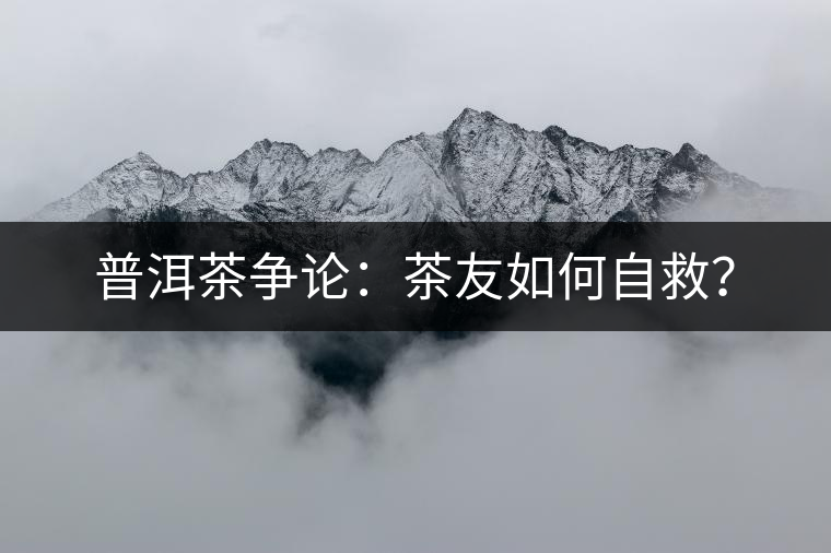 普洱茶爭論：茶友如何自救？