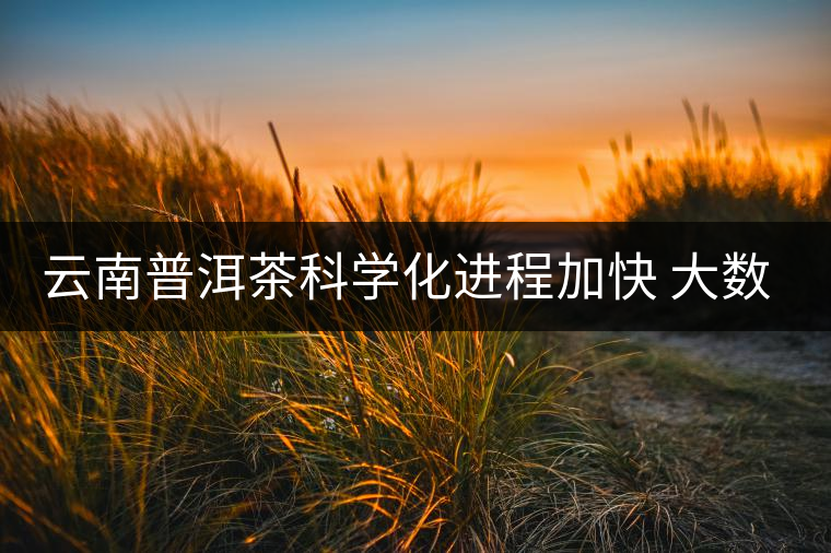 云南普洱茶科學(xué)化進(jìn)程加快 大數(shù)據(jù)打造茶產(chǎn)業(yè) 云南普洱茶科學(xué)化進(jìn)程加快 大數(shù)據(jù)打造茶產(chǎn)業(yè)