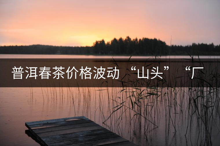 普洱春茶價格波動 “山頭”“廠貨”大不同——名山古樹  品的是歷史文化