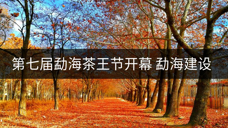 第七屆勐海茶王節(jié)開幕 勐海建設(shè)中國(guó)普洱茶第一縣 第七屆勐海茶王節(jié)開幕 勐海建設(shè)中國(guó)普洱茶第一縣