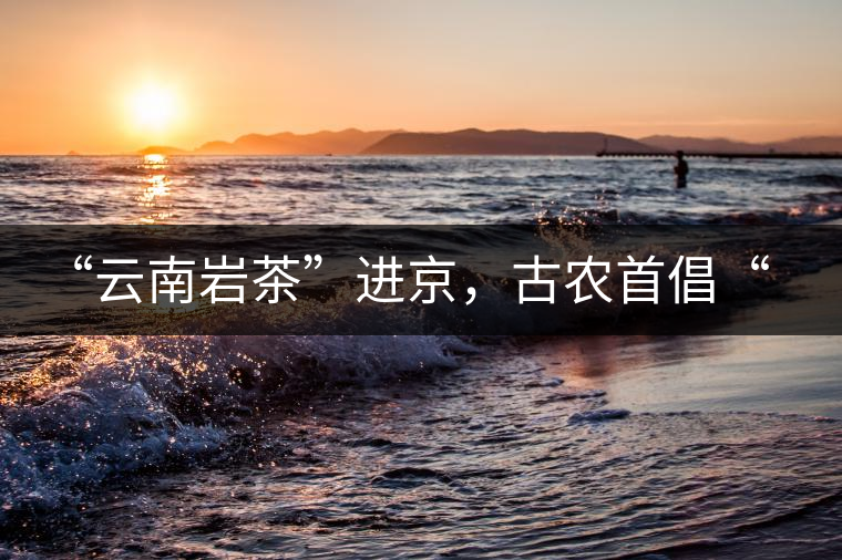 “云南巖茶”進京，古農(nóng)首倡“名茶+名企”戰(zhàn)略