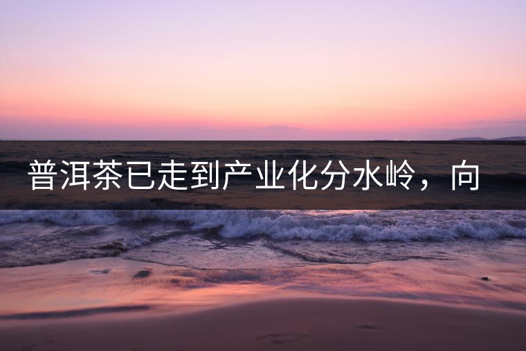 普洱茶已走到產(chǎn)業(yè)化分水嶺，向左還是向右？