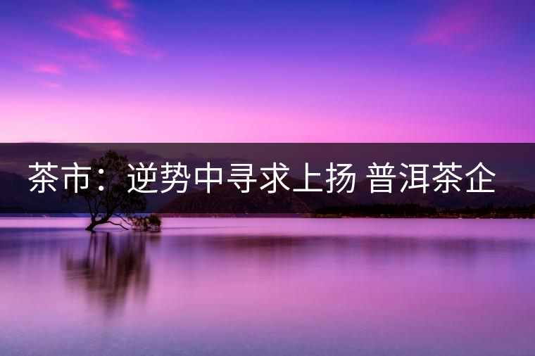 茶市：逆勢(shì)中尋求上揚(yáng) 普洱茶企靠什么打贏這場(chǎng)翻身仗？