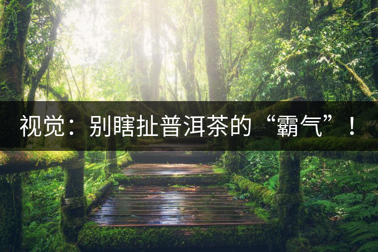 視覺：別瞎扯普洱茶的“霸氣”！偽大師！