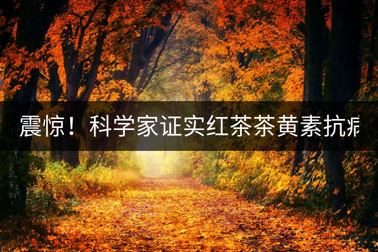 震驚！科學(xué)家證實(shí)紅茶茶黃素抗病毒新功能！