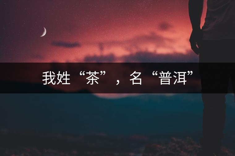 我姓“茶”，名“普洱”
