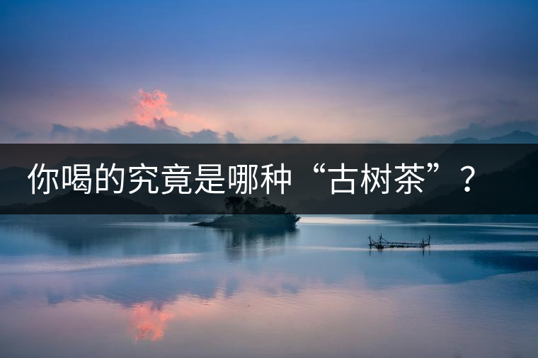 你喝的究竟是哪種“古樹茶”？（收茶必備知識(shí)）