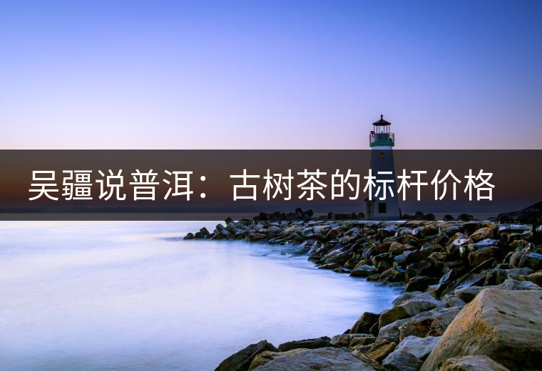 吳疆說普洱：古樹茶的標(biāo)桿價(jià)格在哪里？