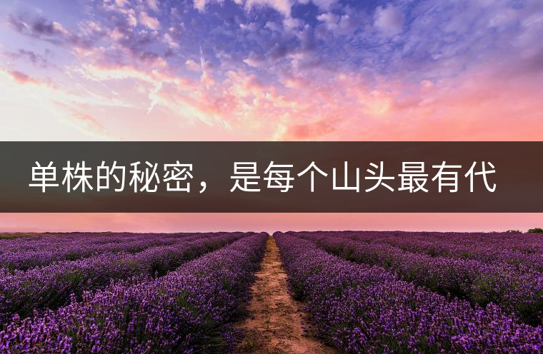 單株的秘密，是每個(gè)山頭最有代表性的味道？