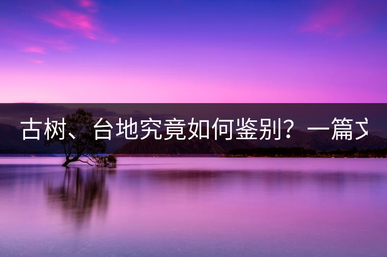 古樹、臺地究竟如何鑒別？一篇文章說透！