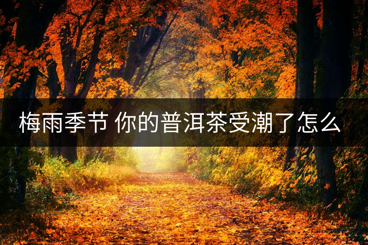 梅雨季節(jié) 你的普洱茶受潮了怎么辦？