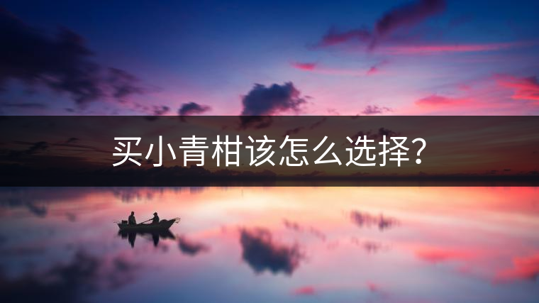 買(mǎi)小青柑該怎么選擇？