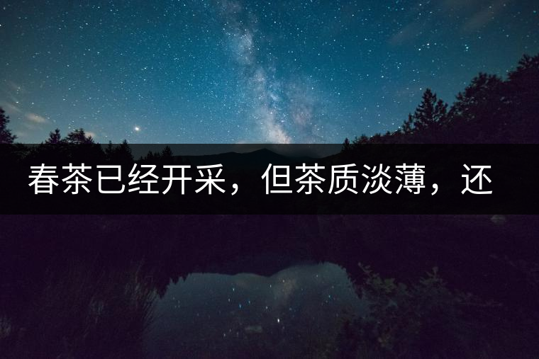 春茶已經(jīng)開采，但茶質淡薄，還需一兩周