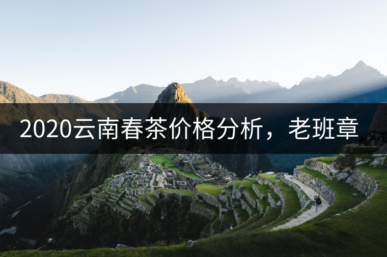 2020云南春茶價格分析，老班章依然將獨占鰲頭？