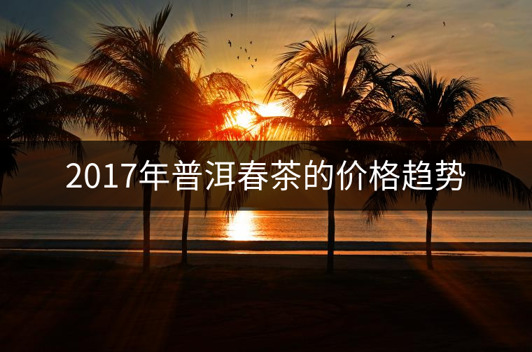 2017年普洱春茶的價(jià)格趨勢