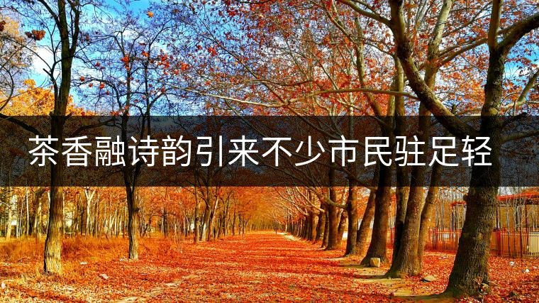 茶香融詩(shī)韻引來(lái)不少市民駐足輕吟 茶香融詩(shī)韻引來(lái)不少市民駐足輕吟
