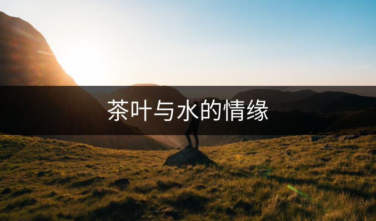 茶葉與水的情緣 茶葉與水的情緣