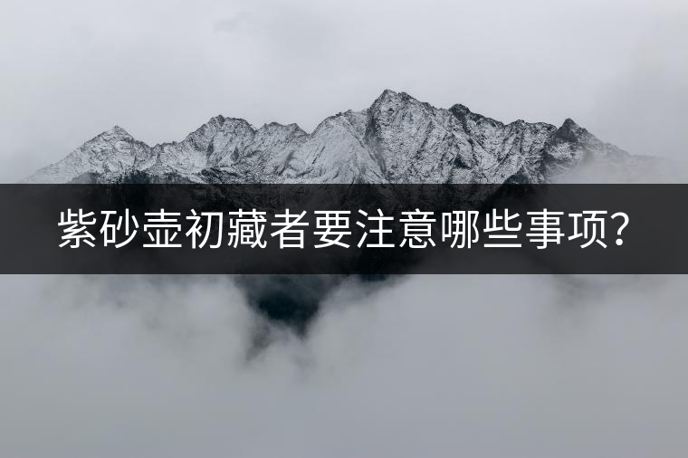 紫砂壺初藏者要注意哪些事項(xiàng)？