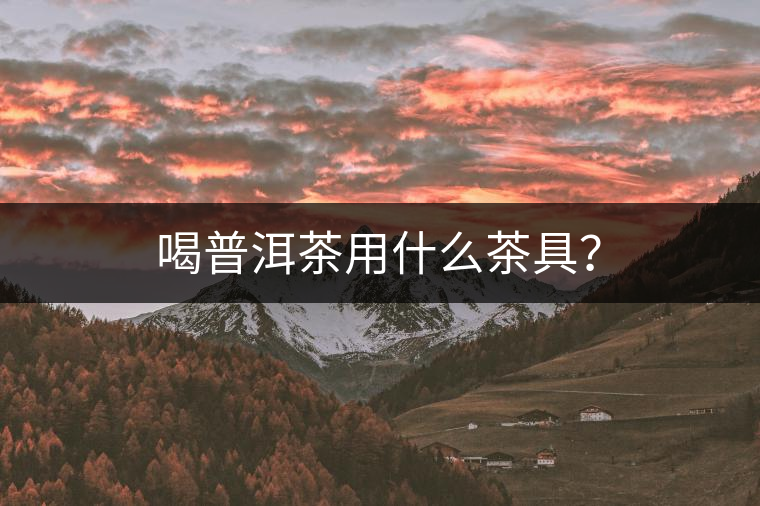 喝普洱茶用什么茶具？