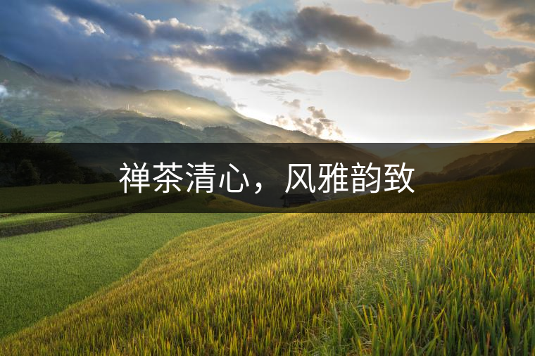 禪茶清心，風(fēng)雅韻致