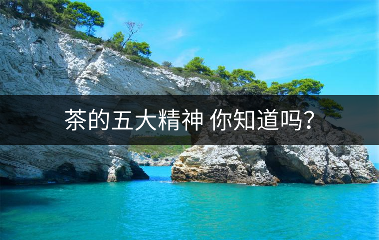 茶的五大精神 你知道嗎？