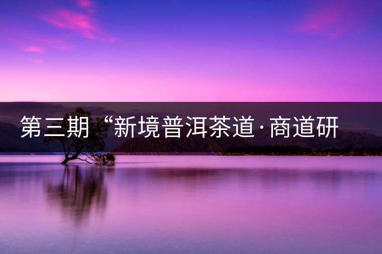 第三期“新境普洱茶道·商道研修班”茶山考察（三）——勐宋篇