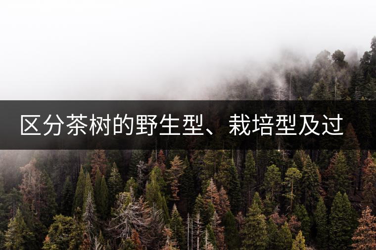區(qū)分茶樹(shù)的野生型、栽培型及過(guò)渡型