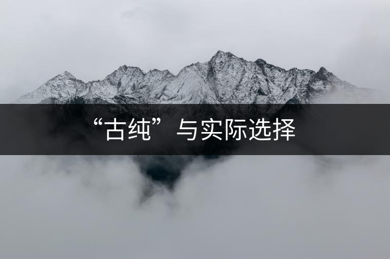 “古純”與實(shí)際選擇