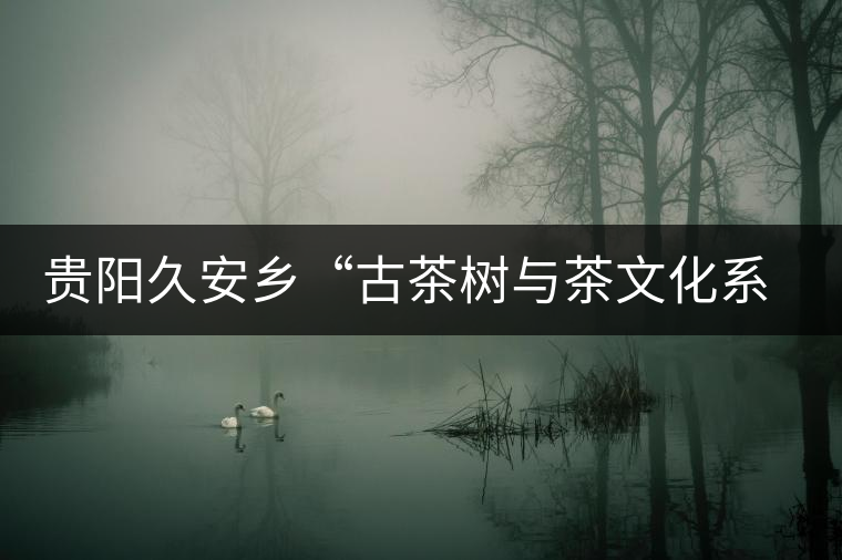 貴陽久安鄉(xiāng)“古茶樹與茶文化系統(tǒng)”入選中國重要文化遺產(chǎn)