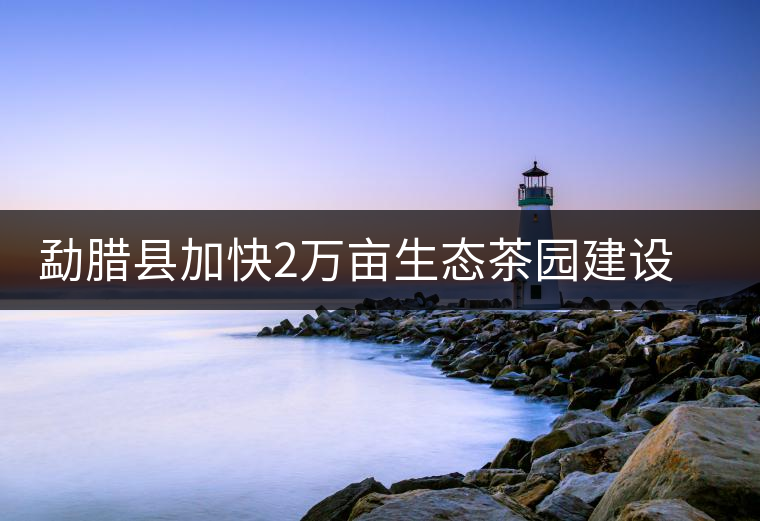 勐臘縣加快2萬畝生態(tài)茶園建設(shè)，促進(jìn)茶葉產(chǎn)業(yè)持續(xù)發(fā)展