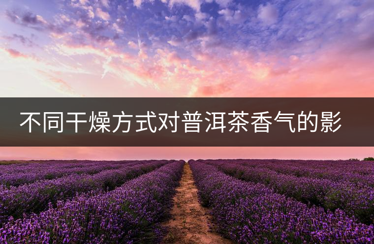 不同干燥方式對(duì)普洱茶香氣的影響研究 不同干燥方式對(duì)普洱茶香氣的影響研究