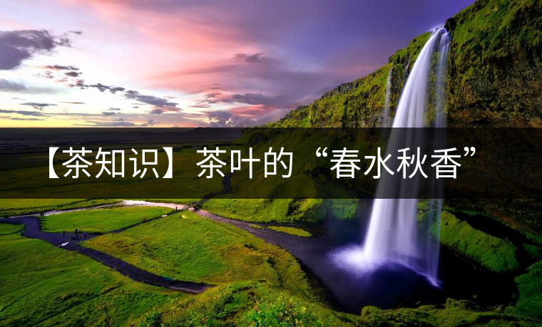 【茶知識】茶葉的“春水秋香”你知道嗎？