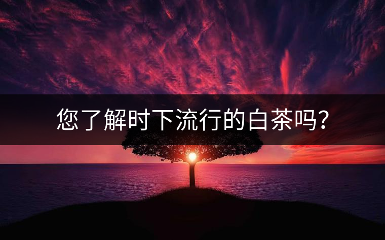 您了解時下流行的白茶嗎？