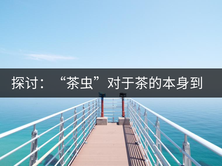 探討：“茶蟲”對于茶的本身到底是好是壞？