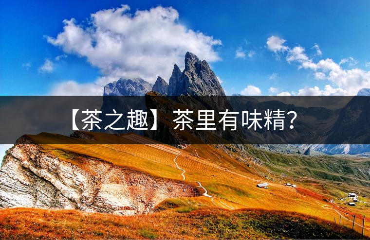 【茶之趣】茶里有味精？