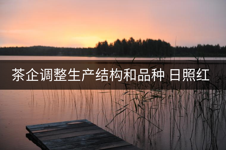 茶企調(diào)整生產(chǎn)結(jié)構(gòu)和品種 日照紅茶產(chǎn)量銷(xiāo)量齊看漲 茶企調(diào)整生產(chǎn)結(jié)構(gòu)和品種 日照紅茶產(chǎn)量銷(xiāo)量齊看漲