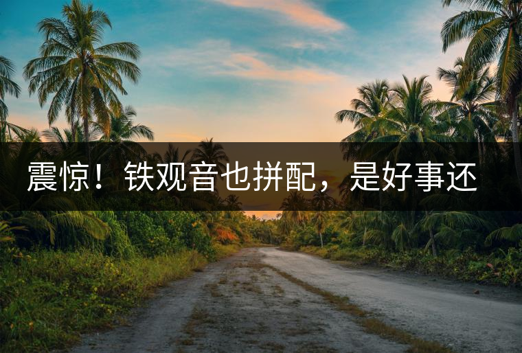 震驚！鐵觀音也拼配，是好事還是壞事？