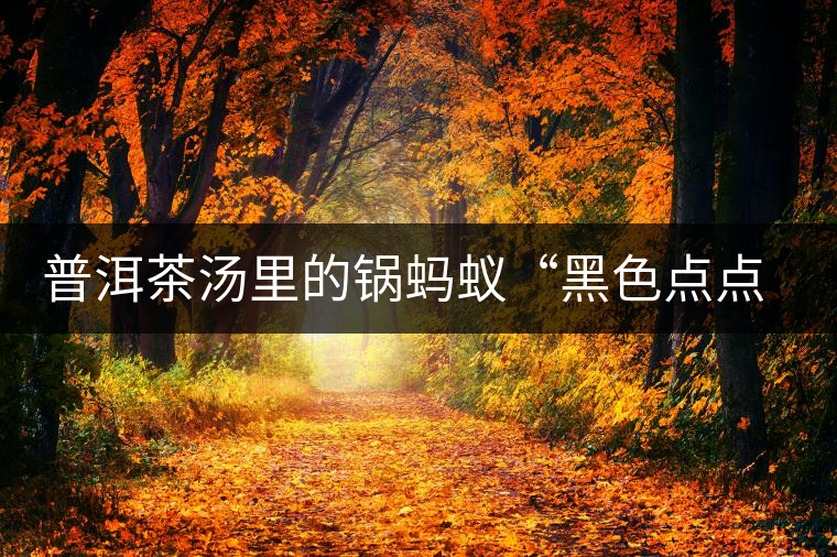 普洱茶湯里的鍋螞蟻“黑色點(diǎn)點(diǎn)”要如何處理和預(yù)防？