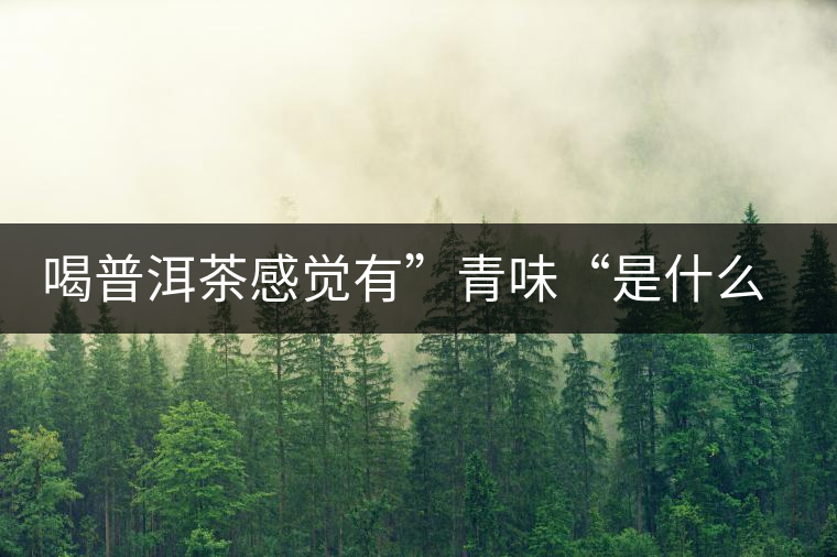 喝普洱茶感覺有”青味“是什么原因？