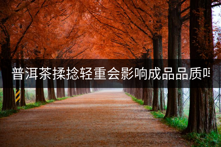 普洱茶揉捻輕重會影響成品品質(zhì)嗎？