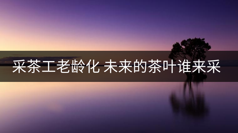 采茶工老齡化 未來(lái)的茶葉誰(shuí)來(lái)采？