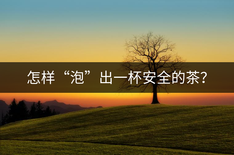 怎樣“泡”出一杯安全的茶？