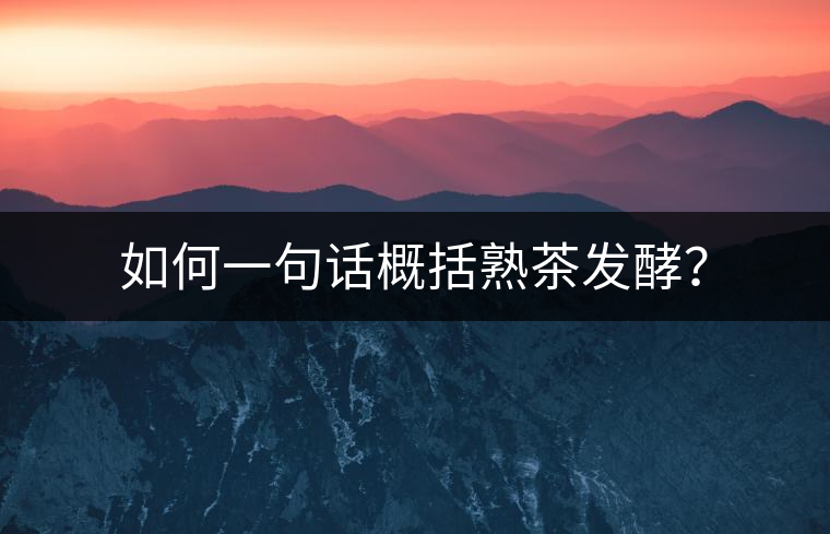 如何一句話概括熟茶發(fā)酵？