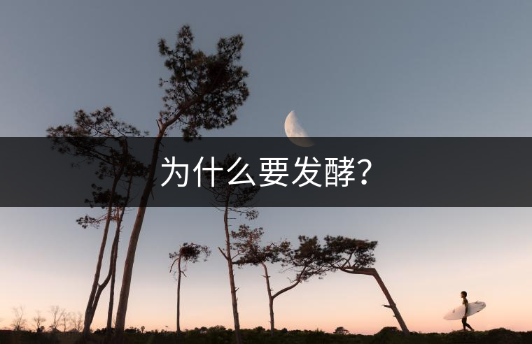 為什么要發(fā)酵？