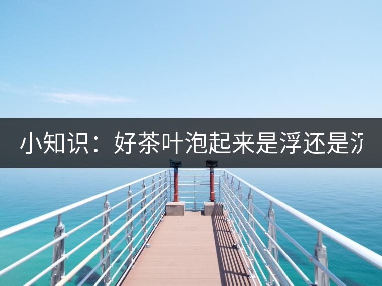 小知識：好茶葉泡起來是浮還是沉？