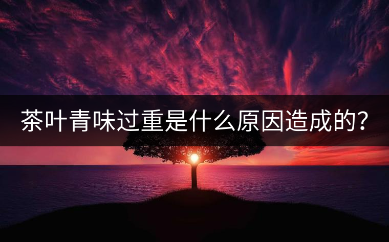 茶葉青味過重是什么原因造成的？