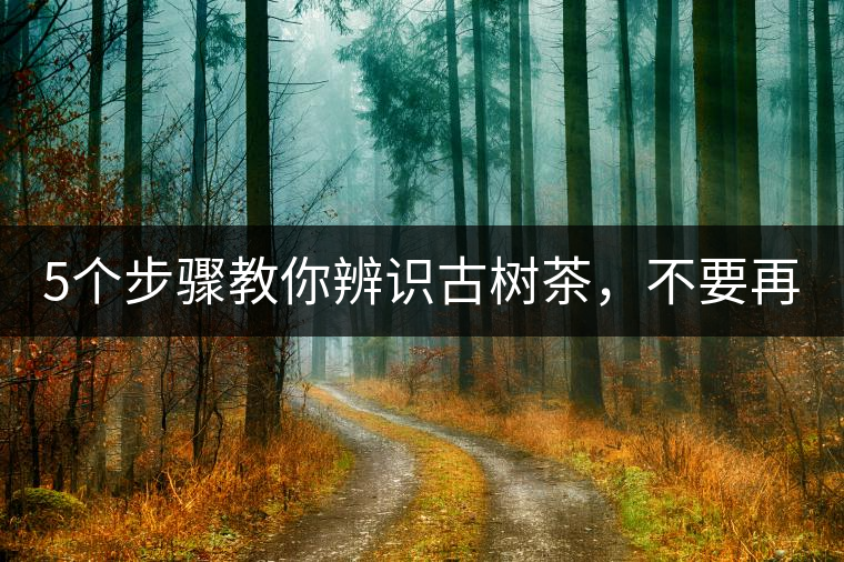 5個(gè)步驟教你辨識(shí)古樹茶，不要再被騙了！